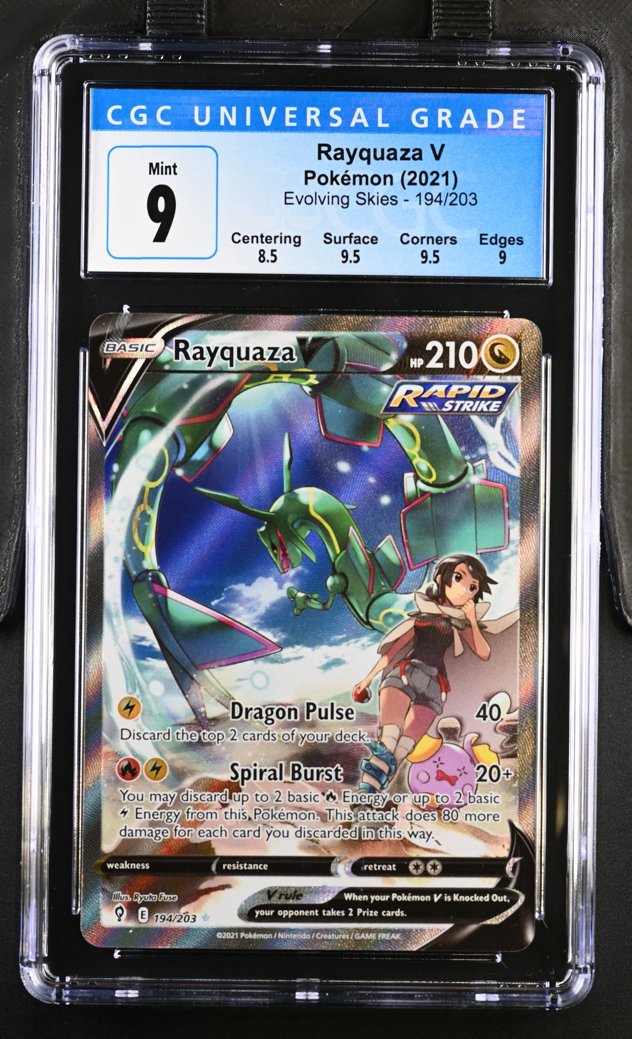 Thumbnail 1